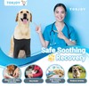 Dog Recovery Sleeves for Front Legs, Double-Leg Cone Collar Alternative,