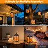 AYTPU 2 Pack Solar Flame Lanterns Outdoor IP65 Waterproof, 13.25