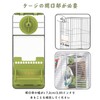 Birds Bait and Water Jug Parakeet Automatic Feeder Water Supply