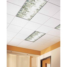 Fluorescent Light Covers for Ceiling Lights Sage Green Eucalyptus Leaves Magnetic Light Filters 4 Pack 4x2 ft Berry Branch Plant Ceiling Light Cover for Classroom Office School Home Drop Lamp Decor