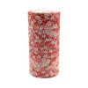 Noguchi Kumataro Tea Garden, Tea Canister, Large Capacity, 7.1 oz