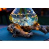 Idena 30257 - Catena luminosa LED Micro con 50 LED