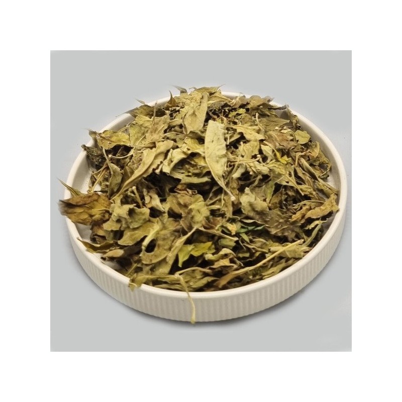 청명 구기자잎(300g)-국내산 Clear Mistletoe Leaves (300g) - Domestic Product
