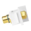 Skywalker F Female to RCA Female Keystone Insert with Blue