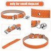 ChengFu XXS Dog Collar Teacup Dog Collars, Orange Dogs Collars,