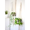 Artevasi Macrame Plant Hanger, Cotton, White