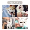 EU SOU Cat Muzzle Anti-Bite Nail Clippers Cat Headgear Mask