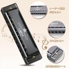 Harmonica Diatonic 10 Holes C Tone Beginner Advanced Airtight Blue