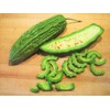 TomorrowSeeds Green Bitter Melon Seeds | Smooth Gourd Karela USA