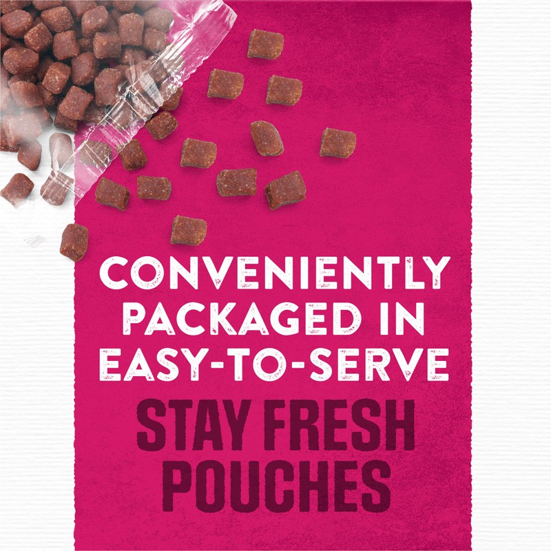 Purina Moist and Meaty Steak Flavor Soft Dog Food Pouches