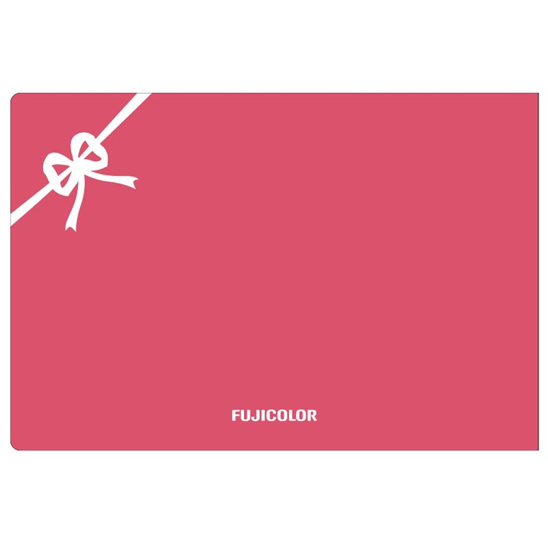 Fujicolor Pocket Album, Handy Album ha64 [Large Format 40 Sheets