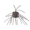 OSP Worm Dice Rubber MAXSALT SR05 Shrimp