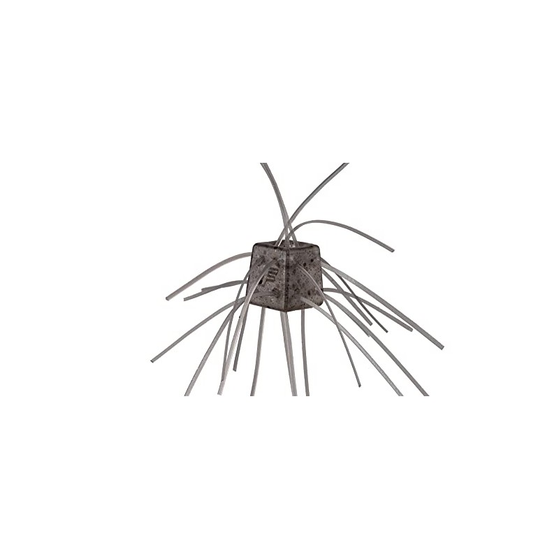 OSP Worm Dice Rubber MAXSALT SR05 Shrimp