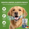 Crema Dental Pet Clean Sabor Carne Para Perros Y Gatos