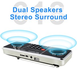 LEFON Multifunction Digital FM Radio Media Speaker MP3 Music Player Support TF Card USB Drive with LED Screen Display and Setting Timing Shutdown Function (Golden)