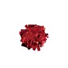 Confetti (Red, 250 grams)