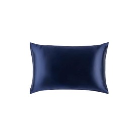 DAISYSILK Silk Pillow Cases, 100% Grade 6A 22 Momme Pure Mulberry Envelope Silk Pillowcase, Hypoallergenic Cooling Breathable Smooth Gift for Women Men,1PCS (Navy, 20''*26'')