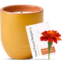 Modern Sprout Garden Vibes 2-in-1 Soy Candle & Planter - Last Light (Bug-Repelling Citronella, Rosemary, Cedarwood, Mint) 6 Oz Scented Candle with Marigold Seeds - Dual Purpose Jar - 38-40 Hour Burn