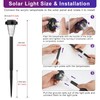 FIFlying 8 x RGB Solar Lights for Outdoor Use