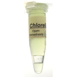 Algae Research Supply Algae Culture Chlorella Vulgaris, Perfect for School Science Fairs/Projects, Experiments & Classrooms (1.7mL)