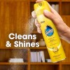 Pledge Expert Care Wood Polish Spray, Shines and Protects, Removes
