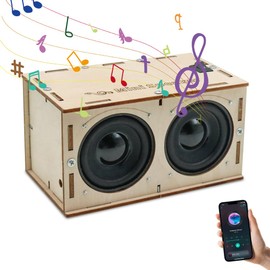 DIY Bluetooth Speaker Box Kit, Electronic Sound Amplifier, Teenage Boy Gifts, Science Experiments for Kids Birthday Gifts for Kids, Builds Your Own Portable Wood Case Bluetooth Speaker Sound