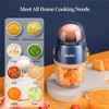 Plodon Baby Food Maker Mini Cute and Small Food Processor