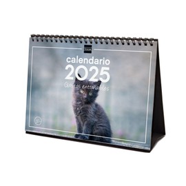 Finocam - Calendar Desktop Images to Write 2025 Month View January 2025 - December 2025 (12 months) Kittens Spanish