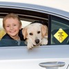 2 Pcs Baby On Board Sign for Car, Baby On