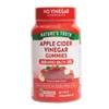 Nature's Truth Apple Cider Vinegar Gummies 2.0g x 120 Gummies / 네이처스트루스 애플사이다비니거 구미 2.0gX120구미