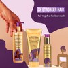 Pantene Pro-V Gold Series Intense Hydrating Oil Treatment, 3.2 fl