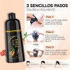 Shampoo Tinte Instantneo Cubre Canas Natural Jengibre 500ml
