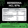 Quotidien | Berberina HCL 97% | 500mg de Berberina Clorhidrato,