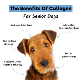 Collagen Puptides - Collagen for Dogs | Premium Dog Joint Supplement | 2X The Amount As Liquid Droppers | Great for Senior & Adult Dogs. Includes Omega 3.