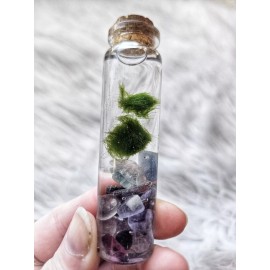Marimo Moss Balls In Glass Jar -  Live - Plant - Water - Aquatic - Gemstones