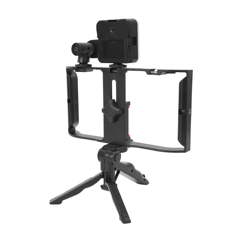 Phone Live Streaming Kit with Fill Light Microphone Sound Cable