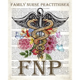Medical School, FNP Office Decor, Wall Art, Family Nurse Practitioner Gift, FNP Gift, Nurse Present, Nursing School Graduation Gift Idea