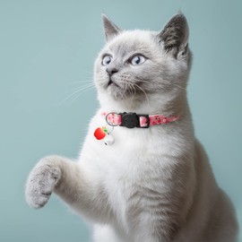 7 Pack Breakaway Cat Collars with Bells & Fruit Pendants,Safety Kitten Collar,Adjustable,Ideal for Girl Cats Boy Male Cats Pet Supplies,Accessories,Gifts