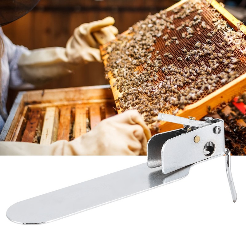 Beekeeping Grafting Needle Shift Pin Insect Larva Transferring Tool SingleEnd