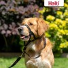 Collar De Cabeza Para Perro Halti, Antitirones, Ajustable, R