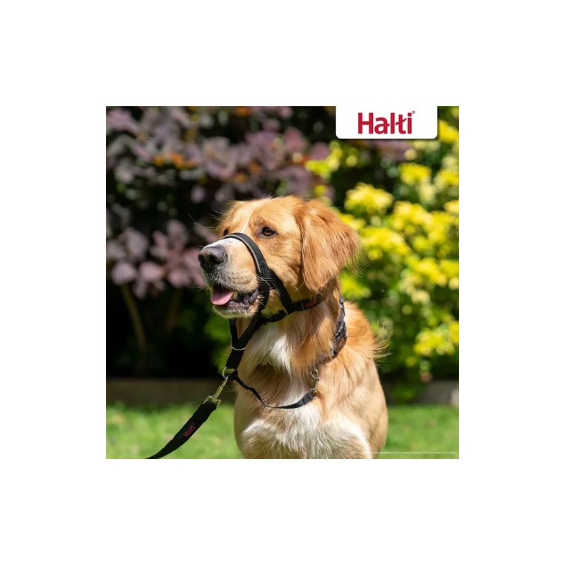Collar De Cabeza Para Perro Halti, Antitirones, Ajustable, R