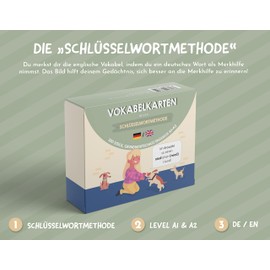 Sophies Kartenwelt Vocabulary Cards for Learning English for Beginners and Refreshers - Quick Vocabulary Learning with Donkey Bridges - The Most Common 220 Vocabulary of Everyday Life - for Adults and