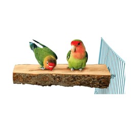 Pipkins Natural Wood Bird Perch 2 Pack - Premium Wooden Landing Perch for Small Animals and Birds. 17cm