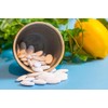 100 g Vitamin C Tablets | Ascorbic Acid | E300