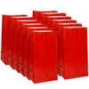 Ruby Red Party Paper Bag | 10" x 5" |