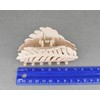 pale blush leaf hair clip claw butterfly clamp 3 5/8