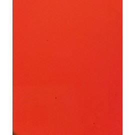 US Marine Products LLC Fluorescent Lobster Buoy Paint Fire Orange Quart by US Marine Products LLC