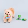 Fringe Studio Plush Dog Toy Set, Rawr-Ing Summer, Small 3