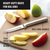 Rada Cutlery Heavy Duty Paring Knife, Silver Handle, Pack of