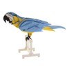 Fridolin 3D Paper Model Parrot 14 x 10 cm